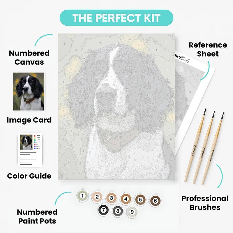 English Springer Spaniel Portrait - Paint by Numbers Kit