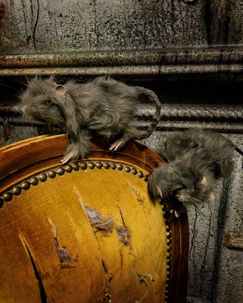 Haarige Mini Ratte 10 cm