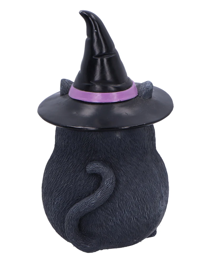 Schwarze Katze mit Besen & Hexenhut