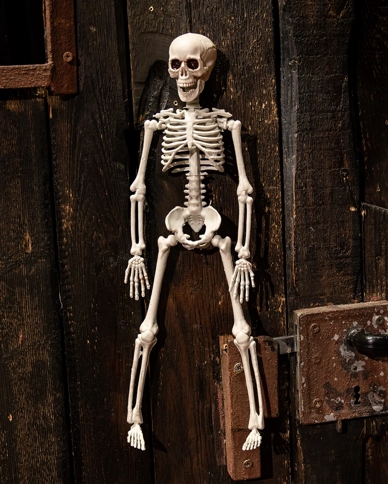 Halloween Knochenskelett 40 cm