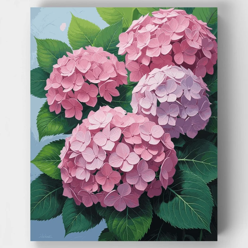Pink Hydrangeas - Paint by Numbers Kit