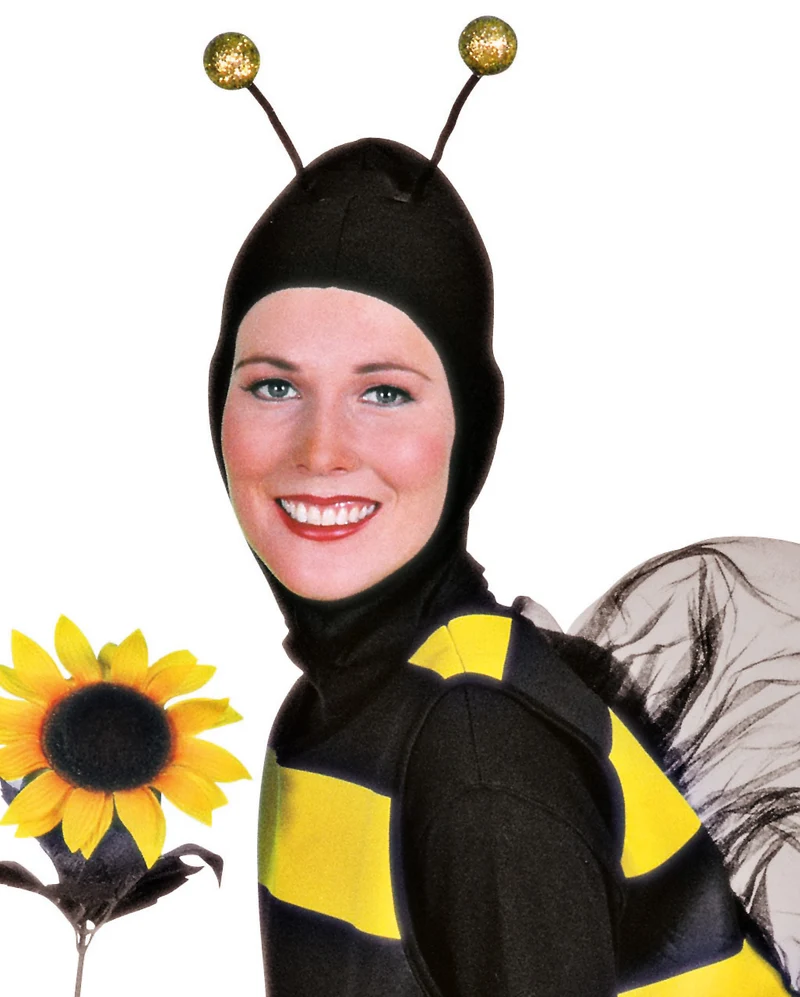 Bumble Bee Kostüm