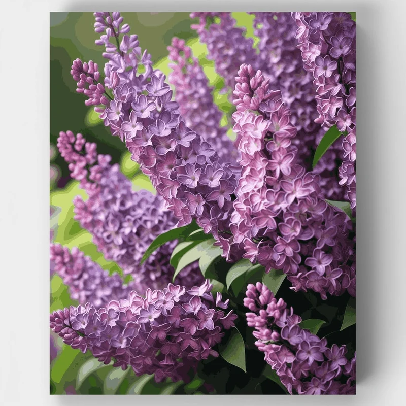 Blooming Lilac Garden - Paint by Numbers Kit