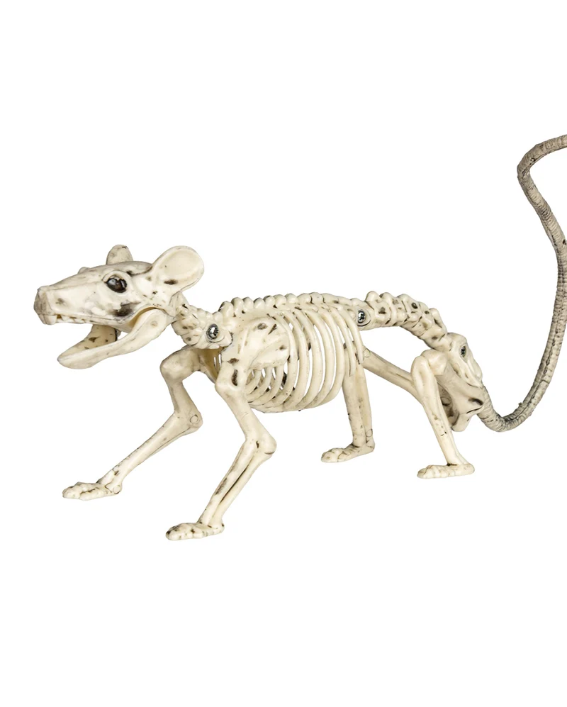 Ratten Skelett 20cm