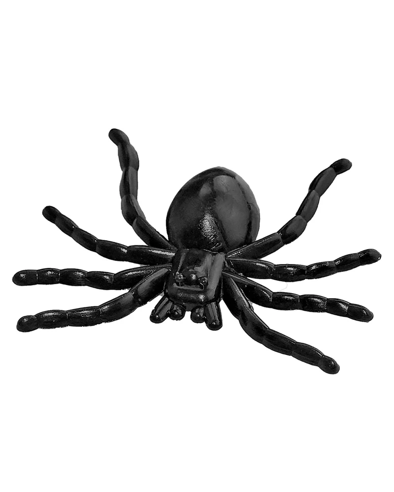 60 St. eklige Halloween Spinnen