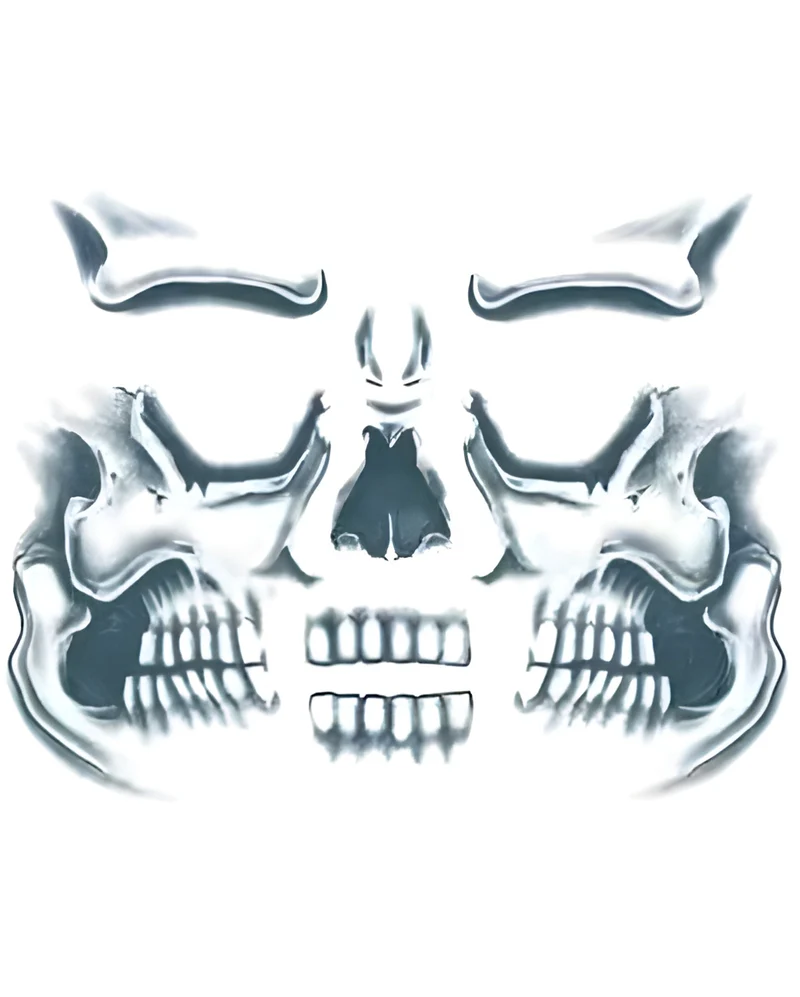 Skull Face Tattoo