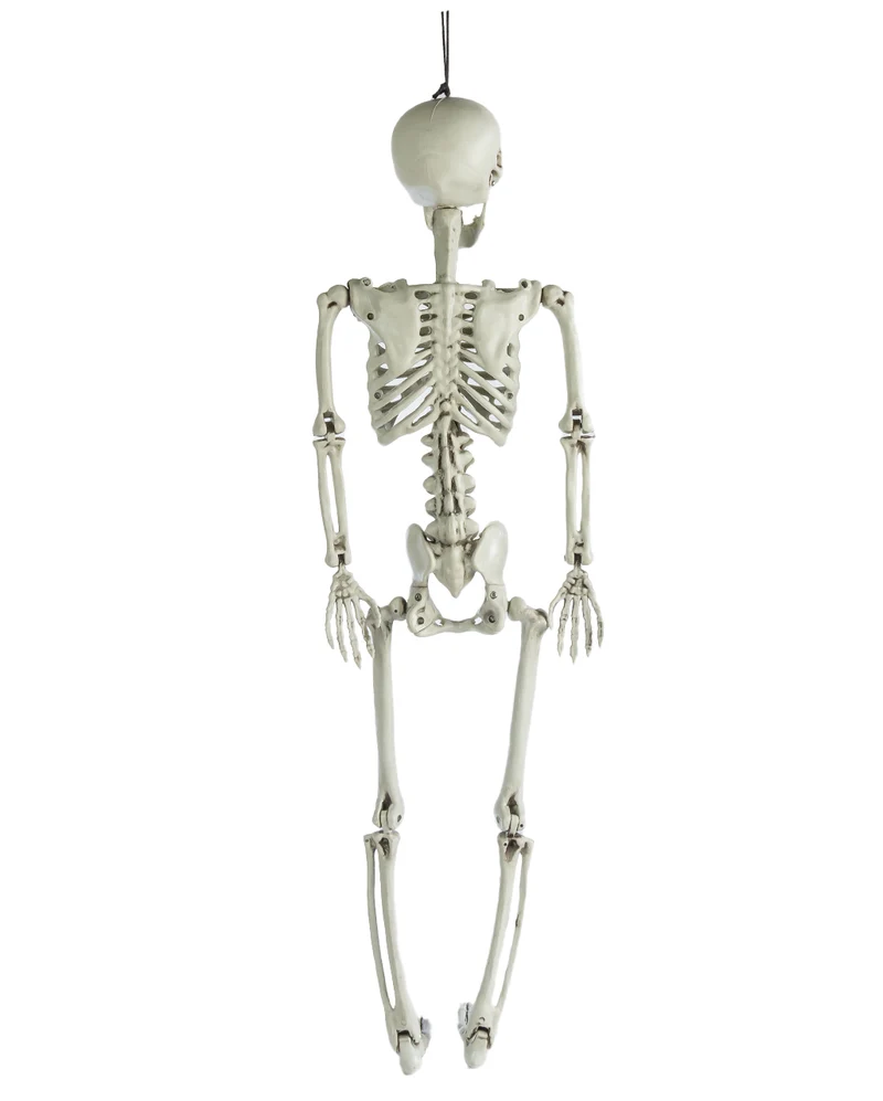 Hängefigur Skelett Torso 90cm
