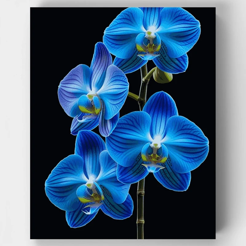 Blue Orchids - Paint by Numbers Kit
