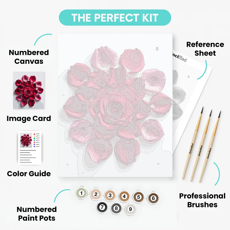 Red Rose with Scattered Petals - Paint by Numbers Kit
