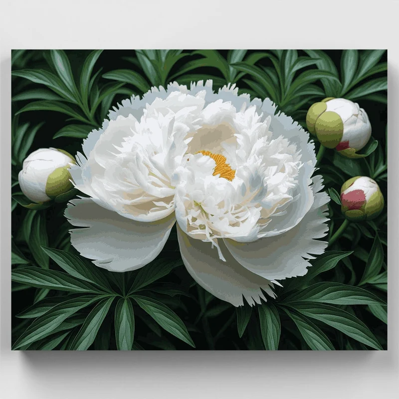 White Peony Bloom - Paint by Numbers Kit