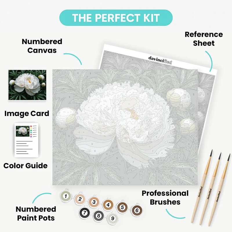 White Peony Bloom - Paint by Numbers Kit