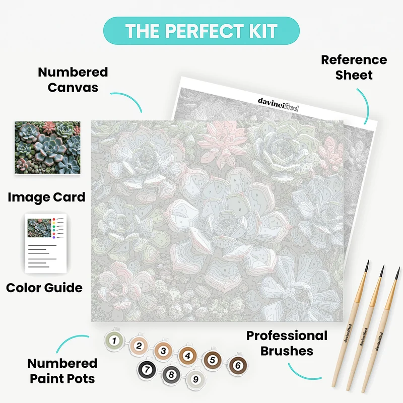 Colorful Succulent Garden - Paint by Numbers Kit