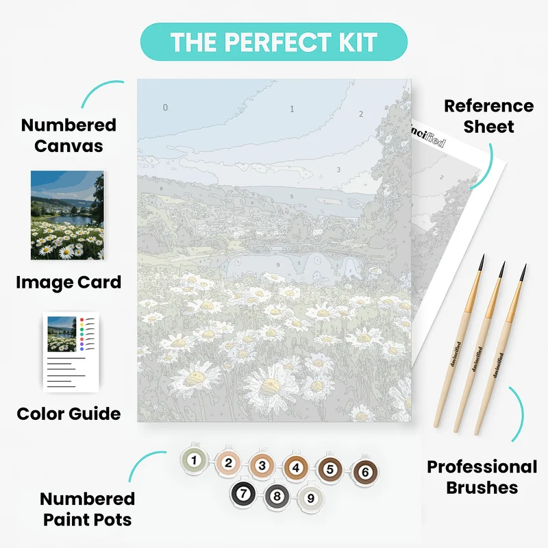 Daisy Field by River Town - Paint by Numbers Kit