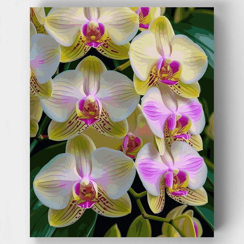 Elegant Orchid Blooms - Paint by Numbers Kit
