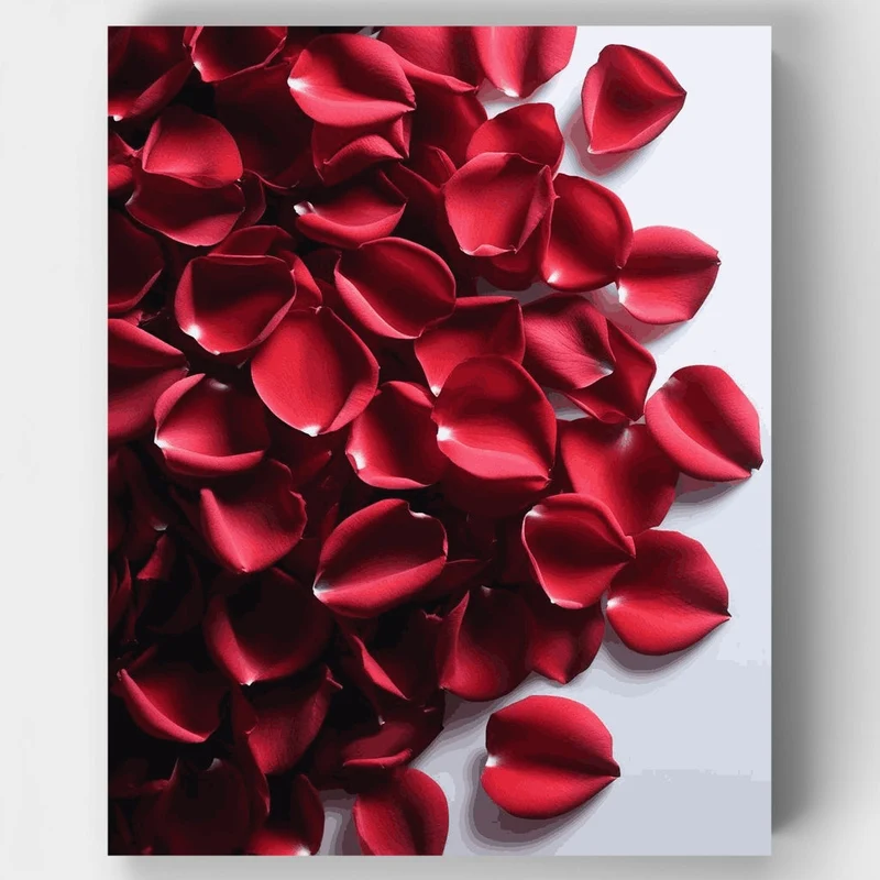 Scattered Red Rose Petals - Paint by Numbers Kit