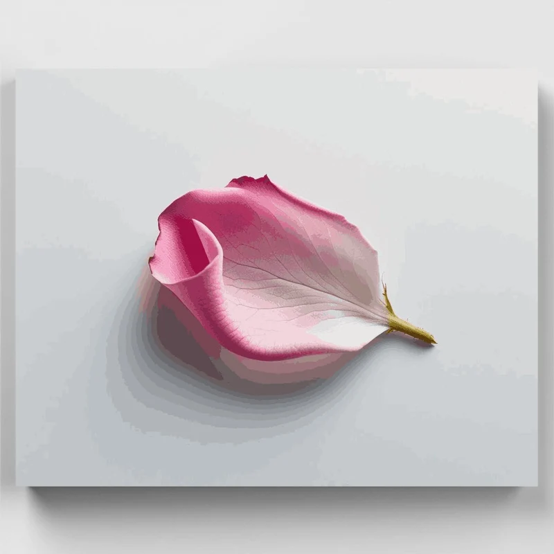 Pink Petal Elegance - Paint by Numbers Kit