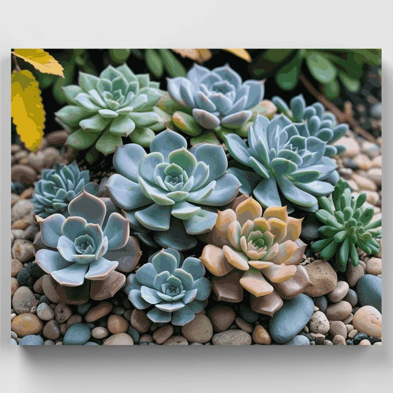 Serene Succulent Rock Garden - Paint by Numbers Kit