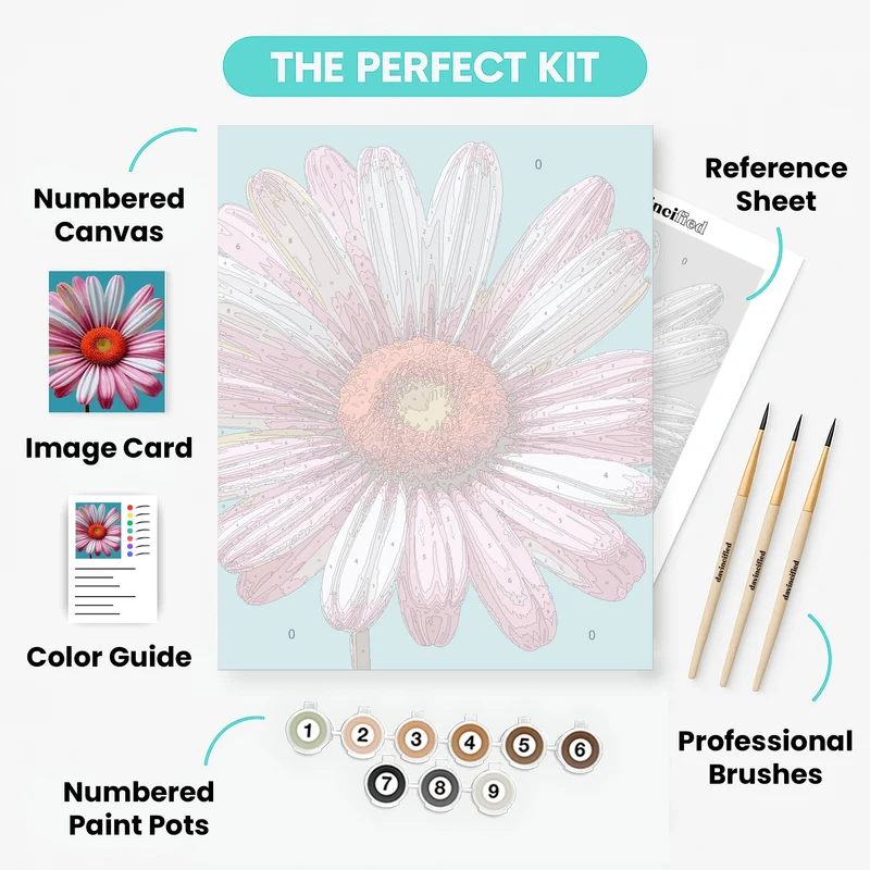 Pink Daisy Flower - Paint by Numbers Kit
