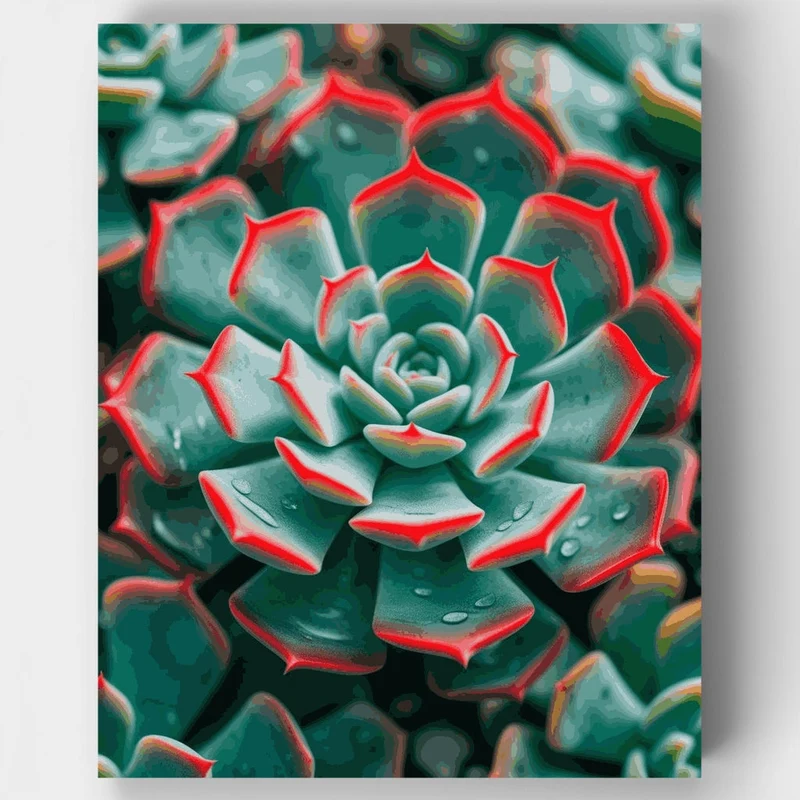 Vibrant Succulent Garden - Paint by Numbers Kit