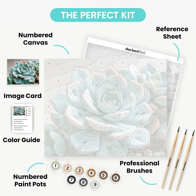Pastel Succulents - Paint by Numbers Kit