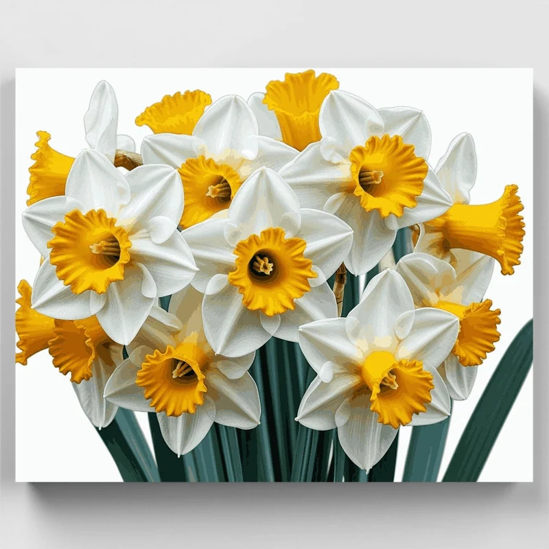 White Daffodils with Golden Trumpets - Paint by Numbers Kit