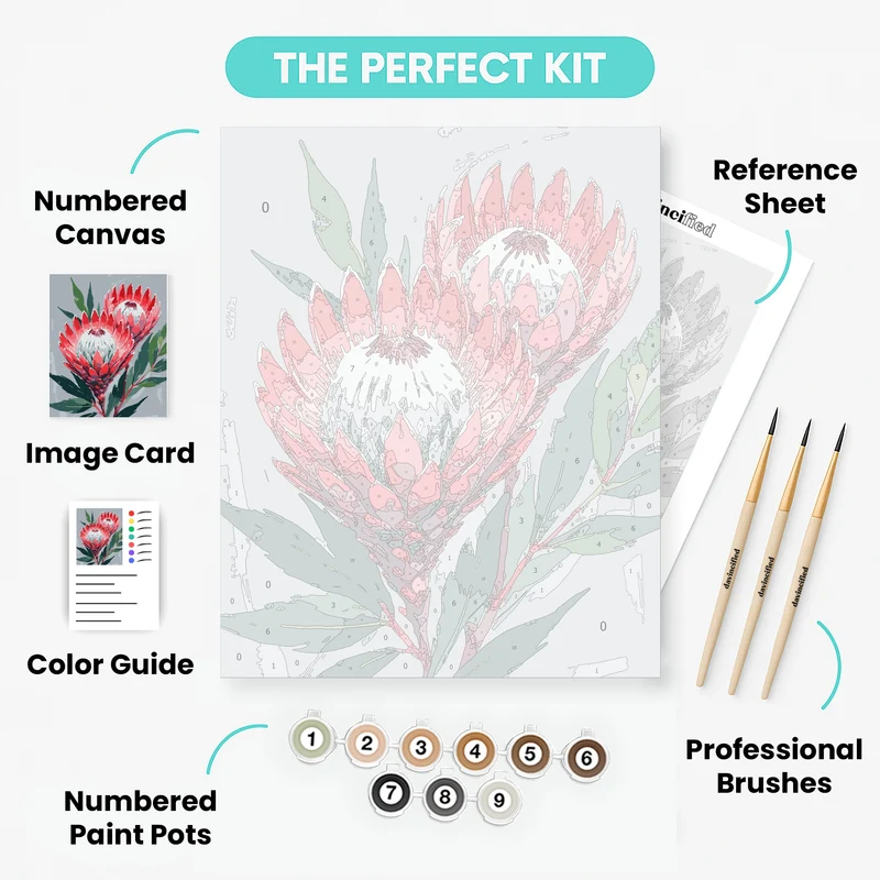 King Protea Flowers - Paint by Numbers Kit