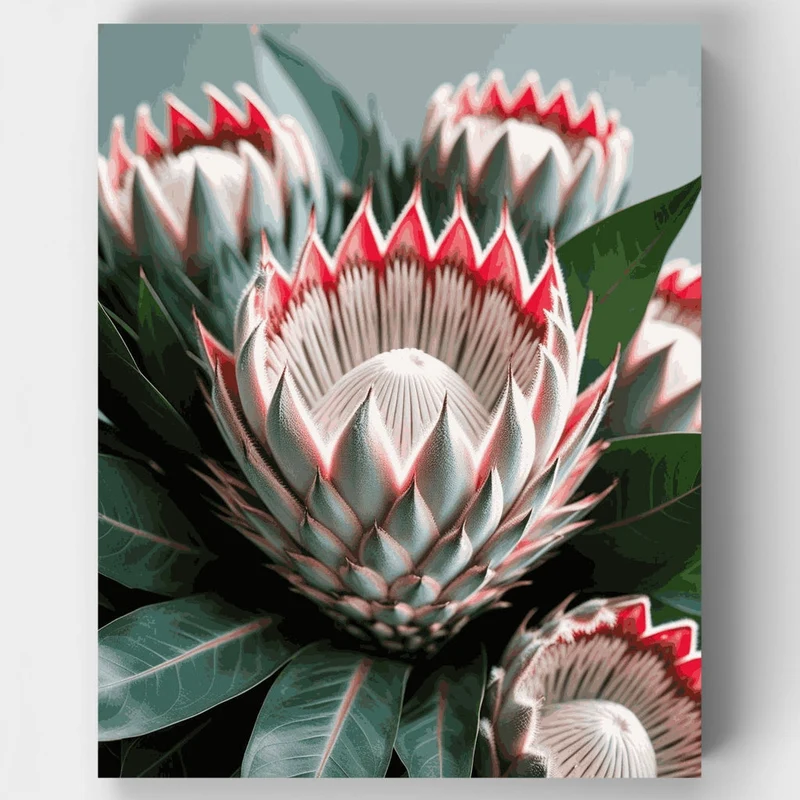 Protea Flowers - Paint by Numbers Kit