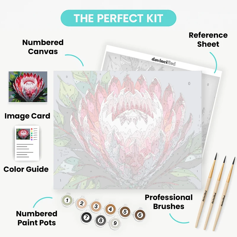 Bold Pink Protea Blossom - Paint by Numbers Kit