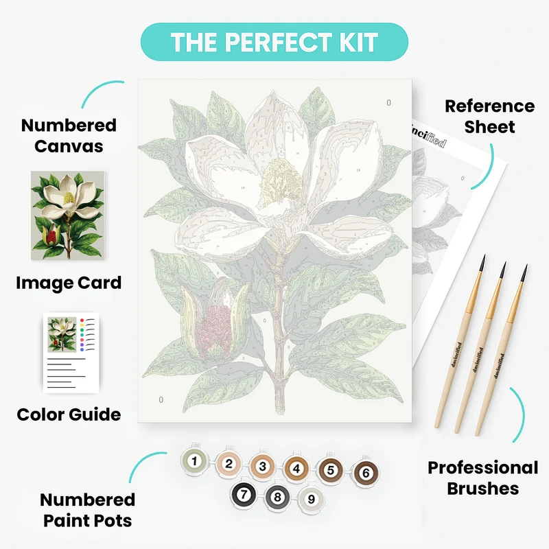 Magnolia Botanical Illustration - Paint by Numbers Kit