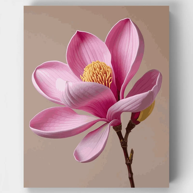 Pink Magnolia Blossom - Paint by Numbers Kit