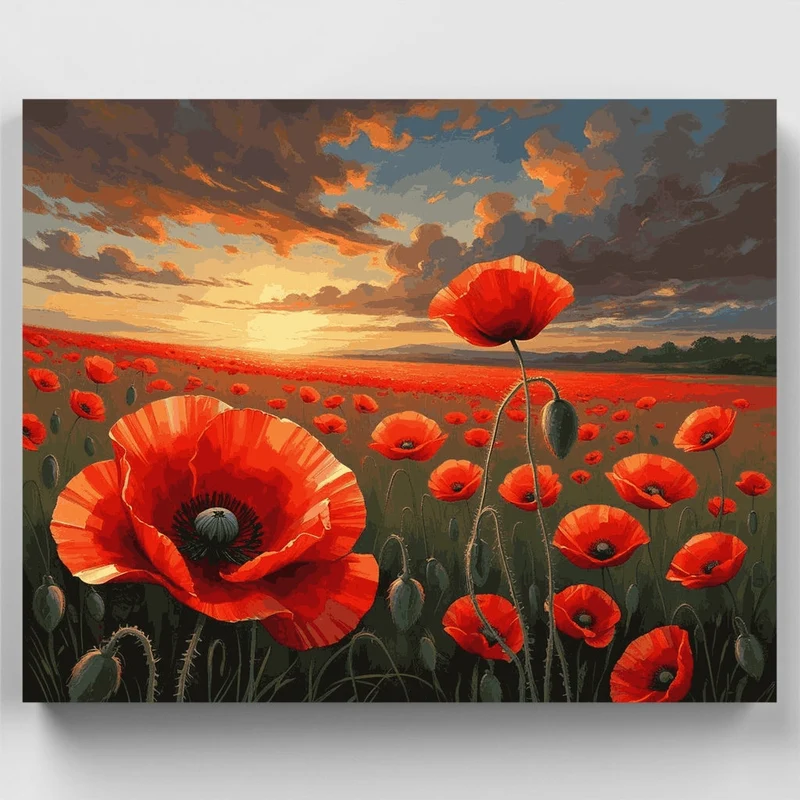Red Poppies Field at Sunset - Paint by Numbers Kit
