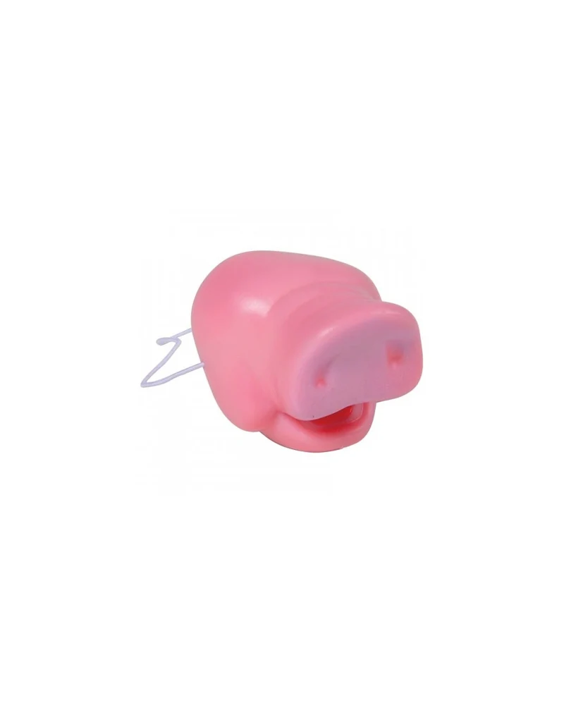 Schweinchen Nase