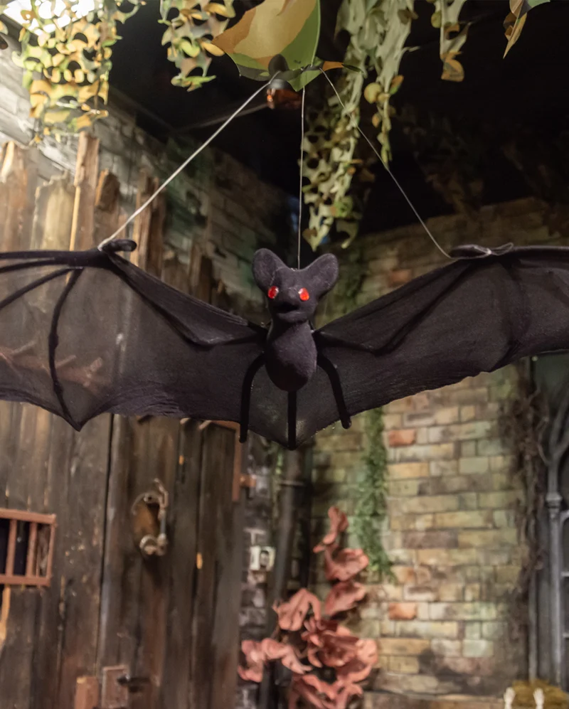 Vampir Feldermaus