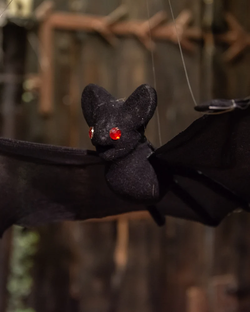 Vampir Feldermaus
