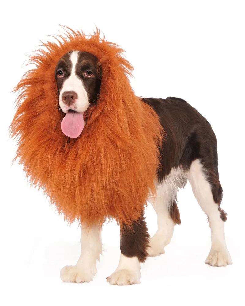 Hundeperücke Löwe