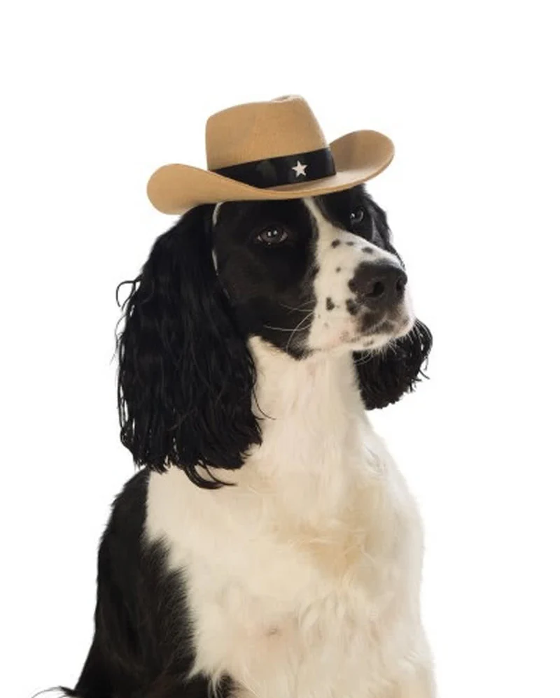 Cowboy-Hut für Hunde & Katzen