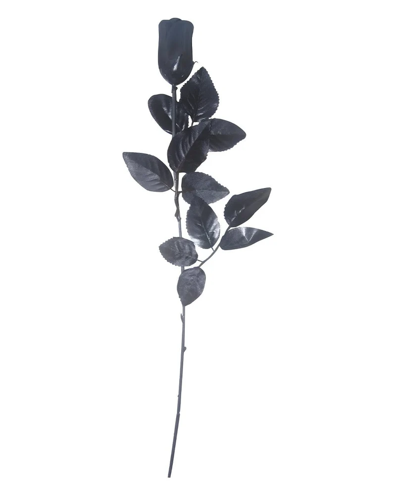 Schwarze Gothic Rose