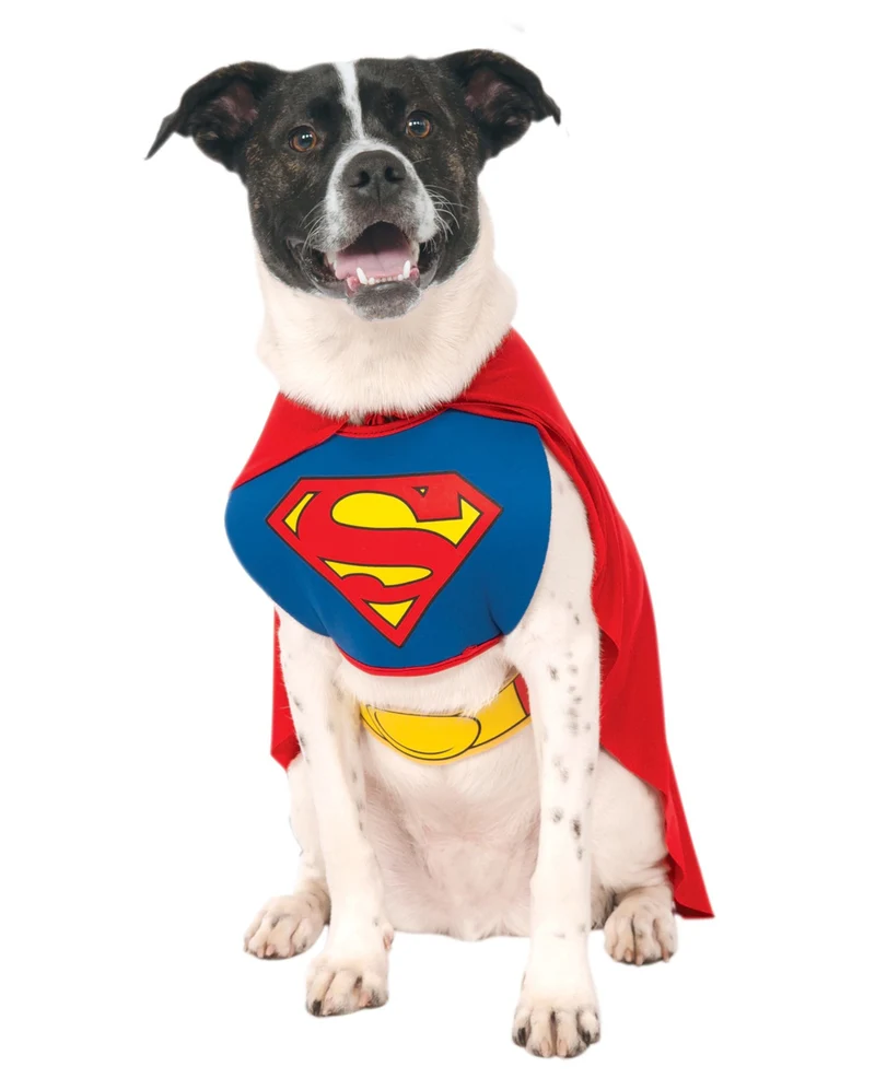 Superman Hundekostüm L