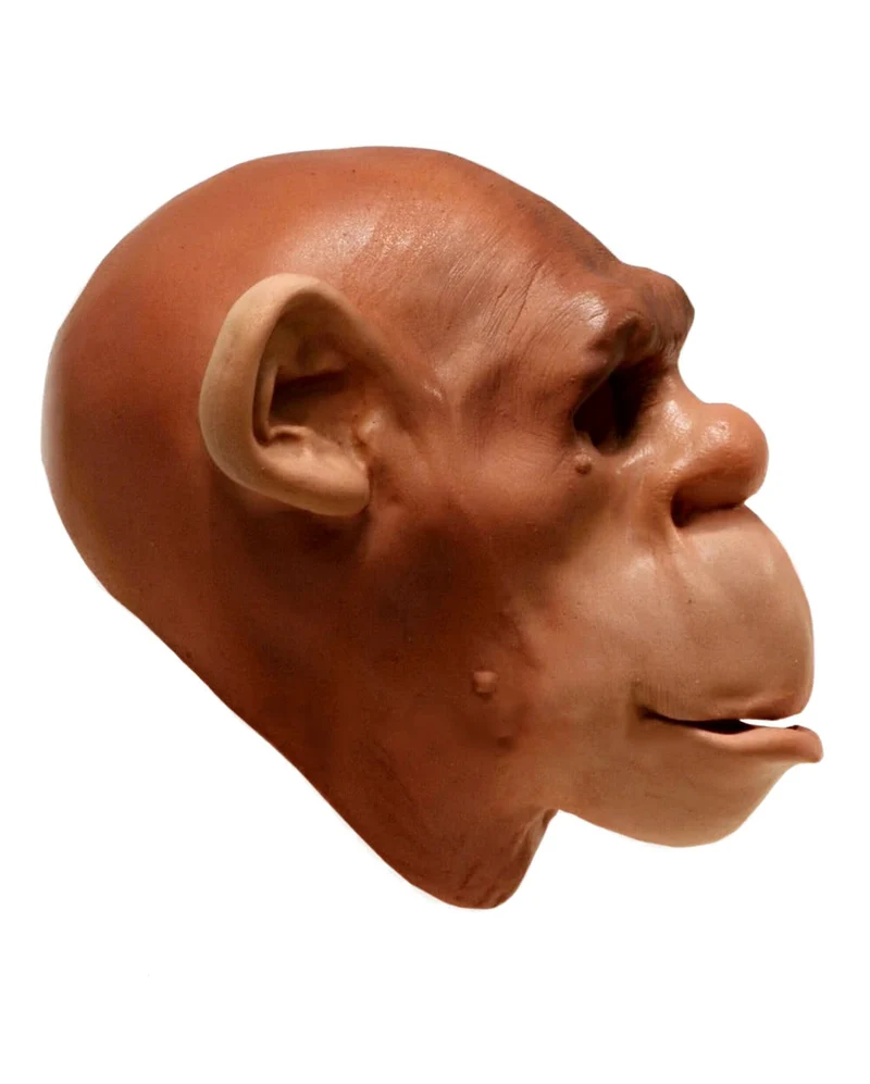 Schimpansen Schaumlatex Maske