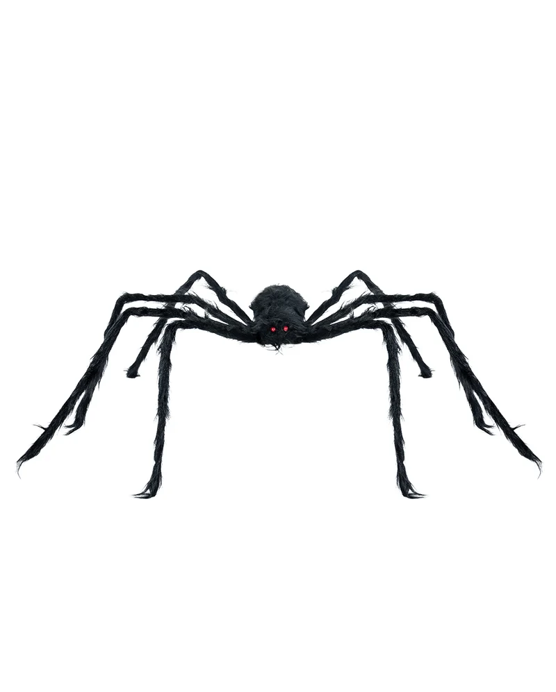 Schwarze Riesenspinne