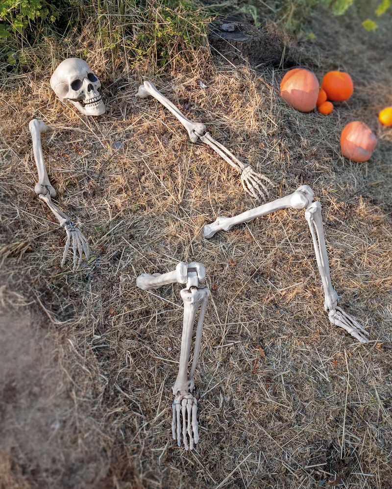 Halloween Skelett für den Garten