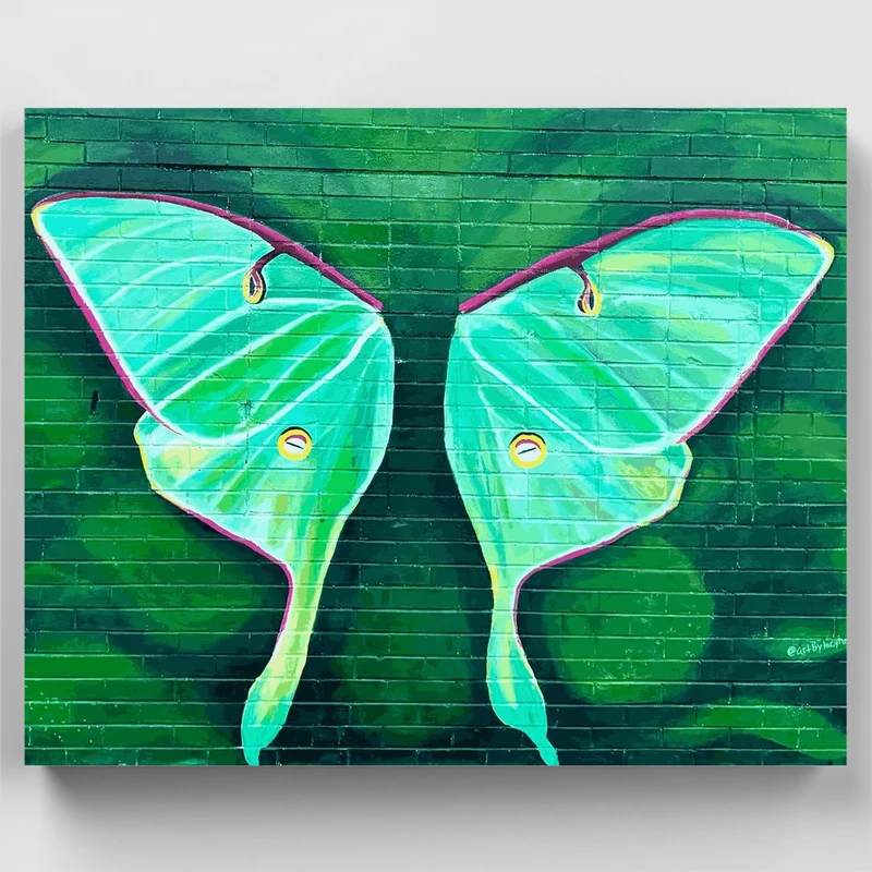Luna Moth Mural - Paint by Numbers Kit