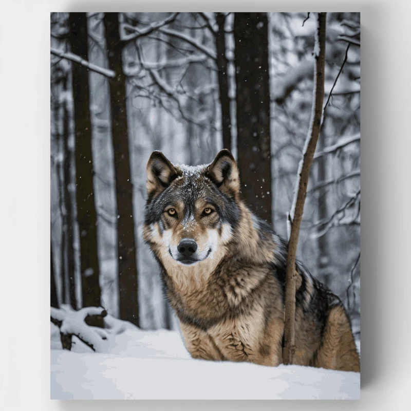 Winter Wolf Guardian - Paint by Numbers Kit