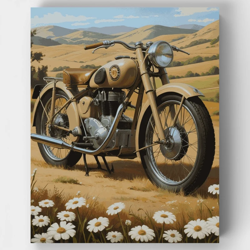 Classic Motorcycle with Daisies - Paint by Numbers Kit