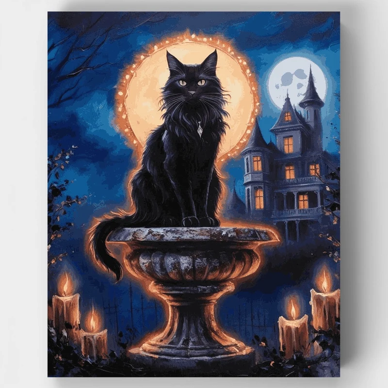 Mystical Black Cat - Paint by Numbers Kit